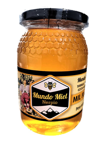Miel Mil Flores 500gr (5,80€/Unidad)