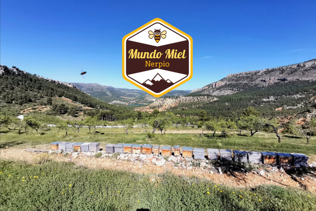 Mundo miel nerpio