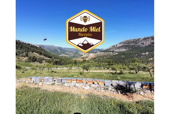 mundo miel ubicacion